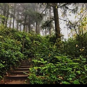 Meet your Posher, Zayra